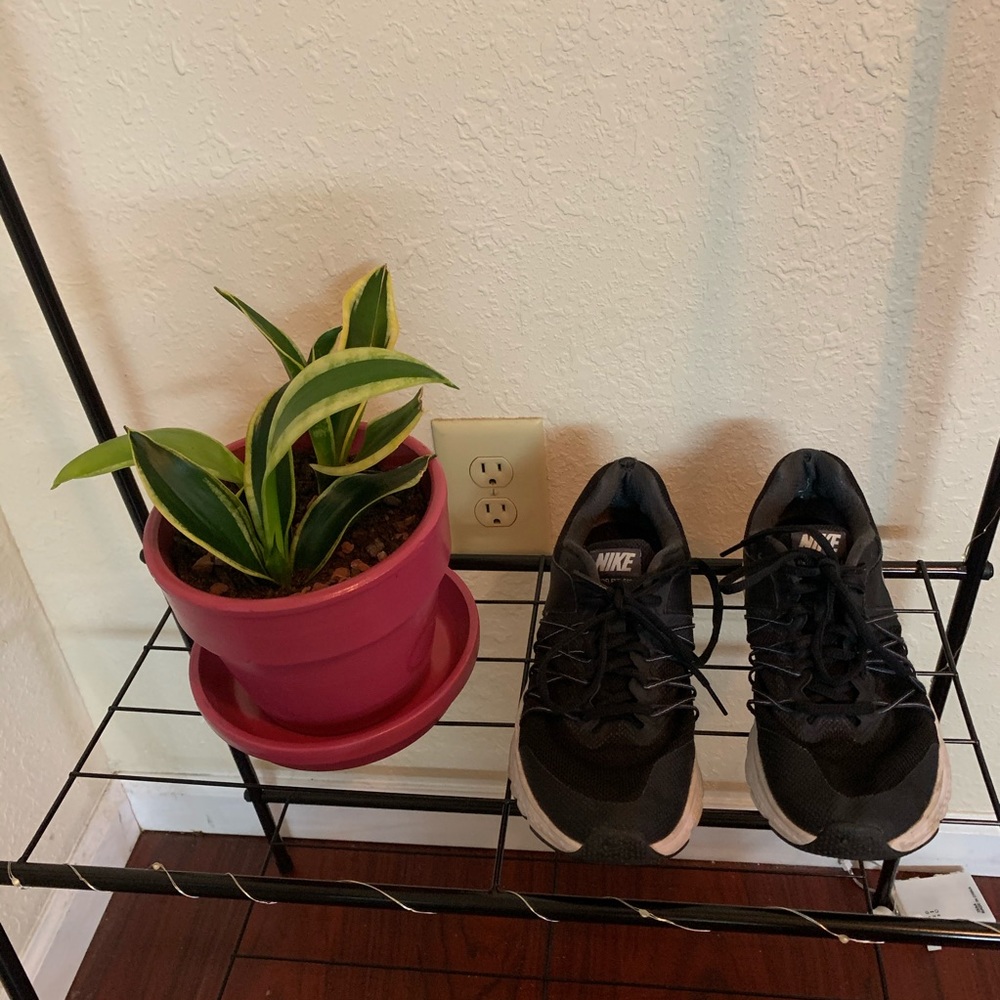 Nike running shoes